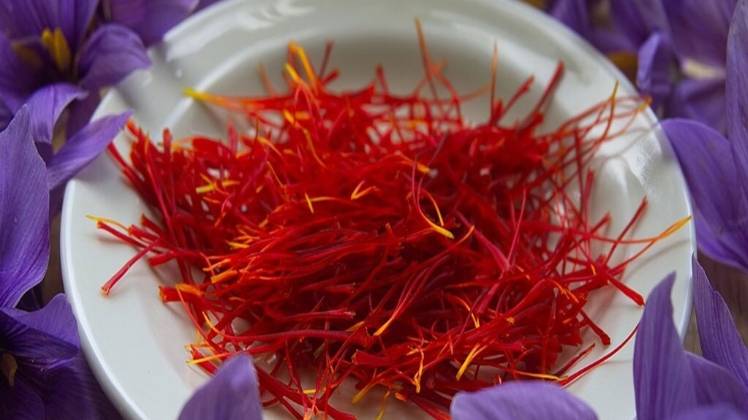 मुंसियारी और गोपेश्वर में होगी केसर की खेती (प्रतीकात्मक तस्वीर)