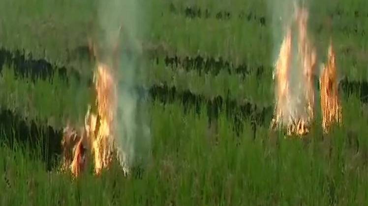 सांकेतिक तस्वीर (एएनआई)