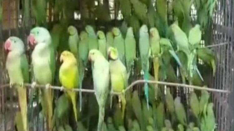 प्रतीकात्मक तस्वीर