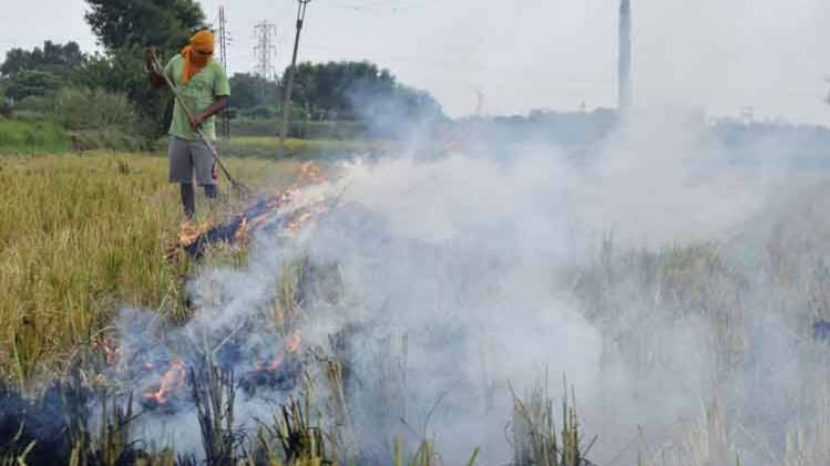अमृतसर में पराली जलाता किसान (फोटो-PTI)