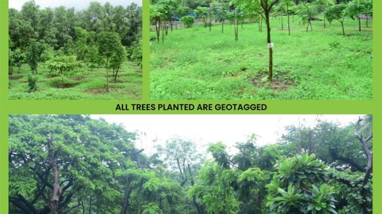 मुंबई मेट्रो ने लगाए 24 हजार पेड़ (फोटो: ट्विटर अकाउंट)