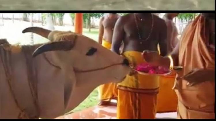 वायरल वीडियो का स्क्रीनशॉट