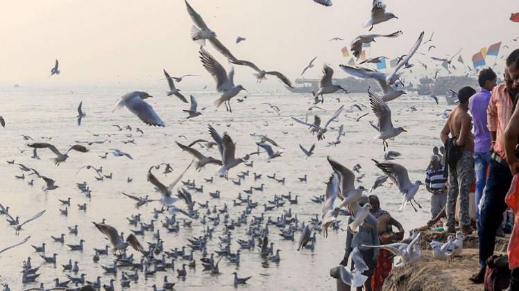 फाइल फोटो (PTI)