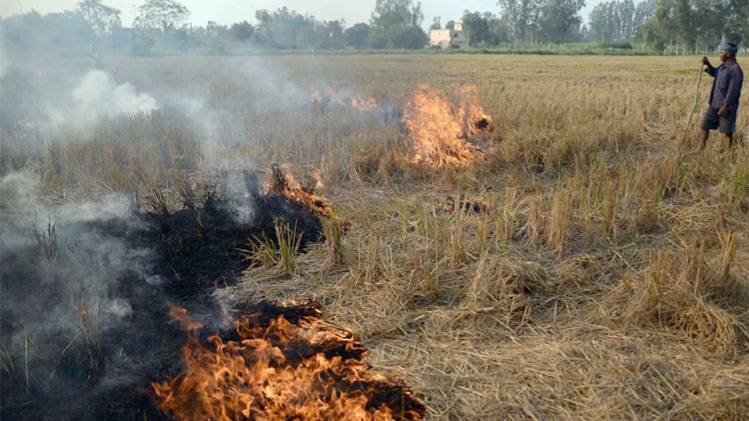 पंजाब में सबसे ज्यादा पराली जलाने की घटनाएं (Courtesy- ANI)