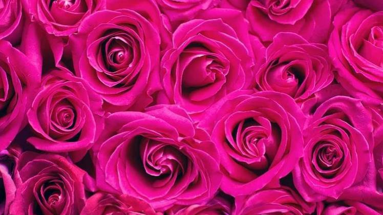 प्रतीकात्मक तस्वीर