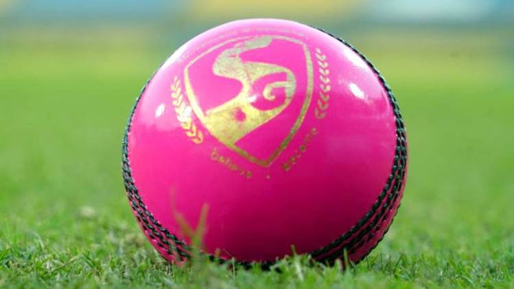  India's first ever Day/Night Test beginning on November 22. (BCCI)