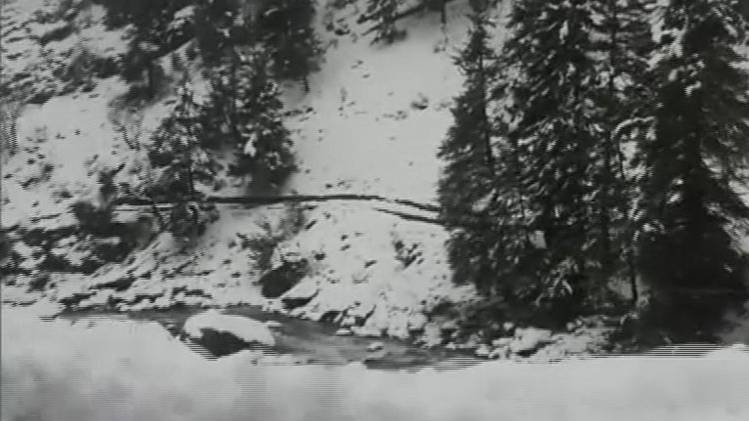 कश्मीर में हो रही बर्फबारी (फोटो-ANI)