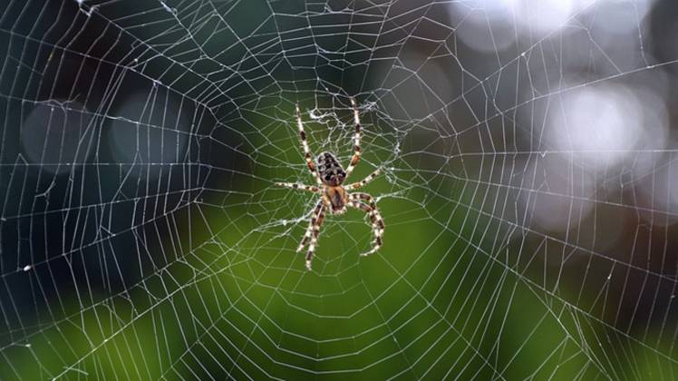 प्रतीकात्मक तस्वीर