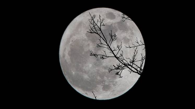 प्रतीकात्मक तस्वीर