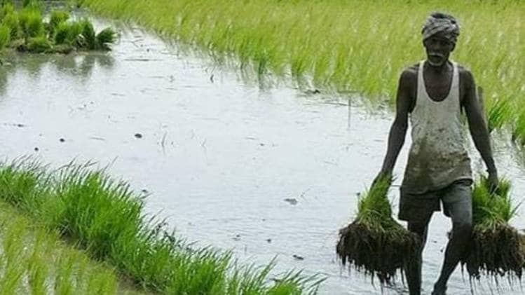 खेती जैसे असंगठित क्षेत्र का सही आकलन नहीं होता है 