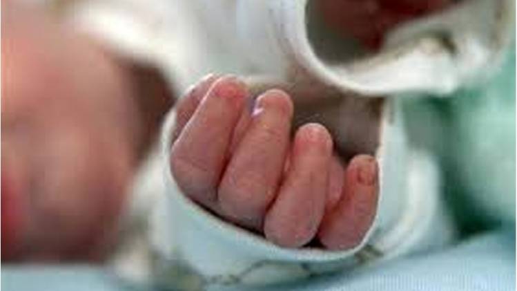 प्रतीकात्मक तस्वीर