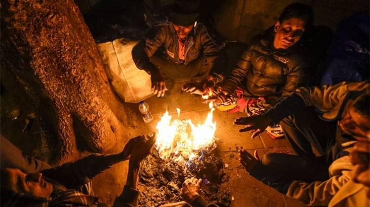 उत्तर भारत में कड़ाके की ठंड (फोटो-PTI)