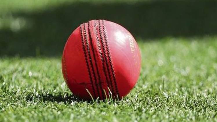 Delhi player banned by BCCI for age fudging.