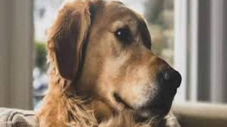 फाइल फोटो