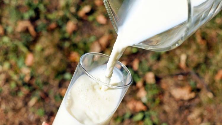 प्रतीकात्मक तस्वीर