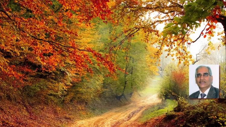 प्रतीकात्मक इमेज