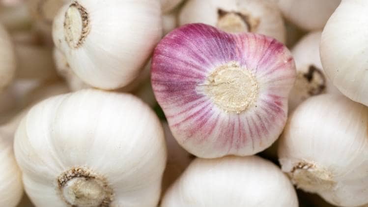 प्रतीकात्मक तस्वीर