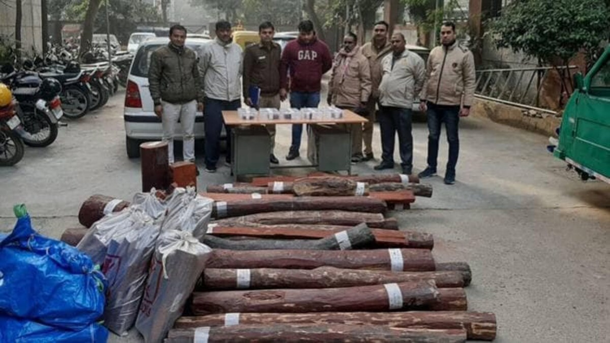 चंदन तस्करी का बड़ा खुलासा, 6 करोड़ की 1280 किलो लकड़ी बरामद, 2 गिरफ्तार - west delhi trafficking of sandalwood six crore wood recovered two arrested - AajTak