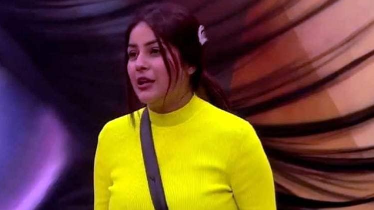 शहनाज गिल