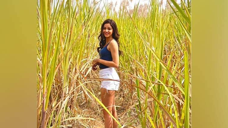 अनन्या पांडे