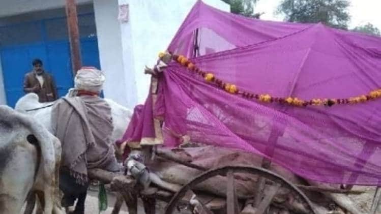 किसान ने पालतू गाय की शवयात्रा निकाली