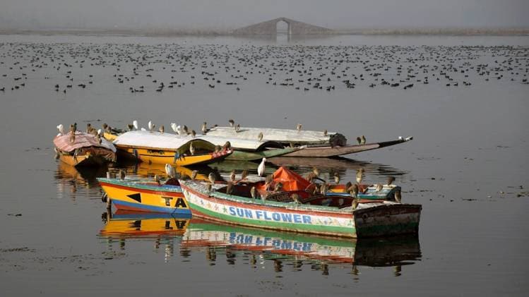 विदेशी प्रतिनिधिमंडल करेगा जम्मू-कश्मीर का दौरा (प्रतीकात्मक तस्वीर-ANI)