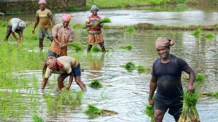 अब किसानों के परिजनों को भी मिलेगा बीमा का लाभ (Photo: PTI)