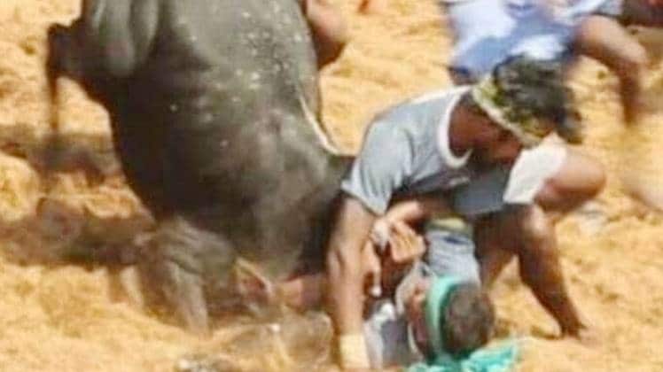 जल्लीकट्टू के दौरान मृतकों की संख्या तीन पहुंची (फाइल फोटो)