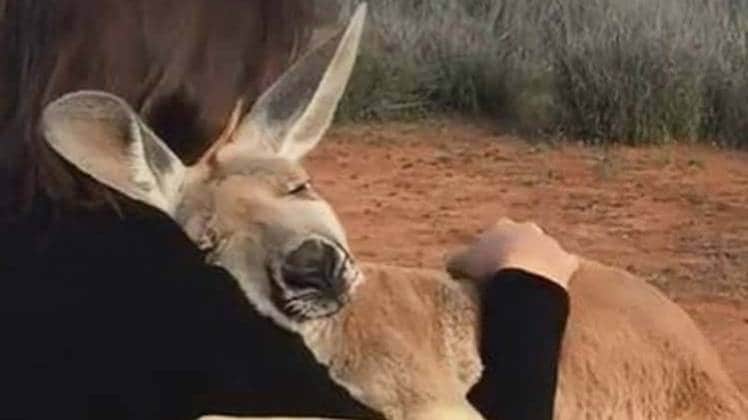 फैक्ट चेक