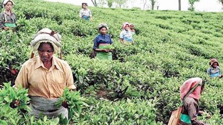प्रतीकात्मक चित्र