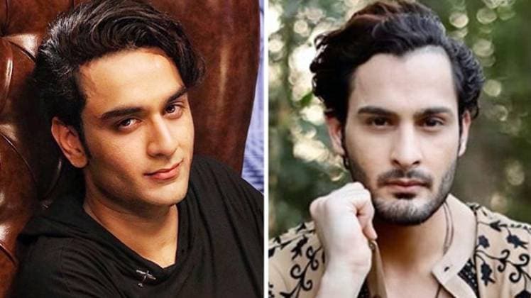 Big Boss 13: विकास गुप्ता, उमर रियाज 