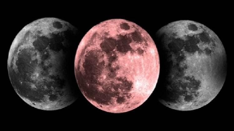 (Magh Purnima 2020) इस तिथि को चन्द्रमा सम्पूर्ण होता है. सूर्य और चन्द्रमा समसप्तक होते हैं.