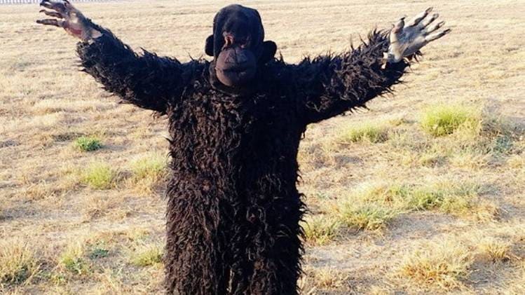 भालू के वेश में सुरक्षा करेंगे एयरपोर्ट के कर्मचारी