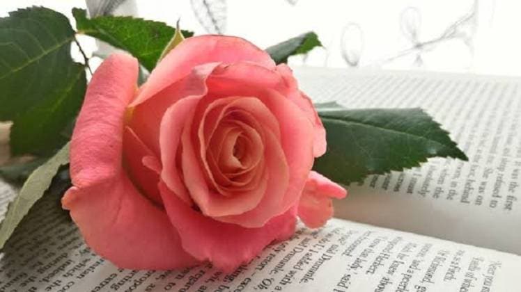 प्रतीकात्मक तस्वीर