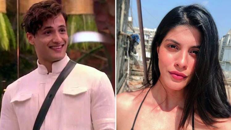 आसिम रियाज, श्रुति