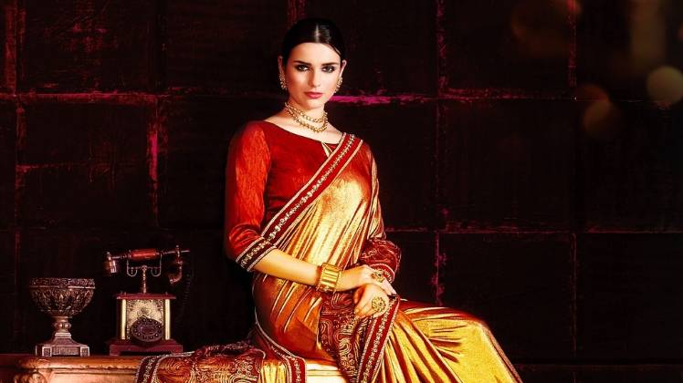 कांचीपुरम ही नहीं, ये हैंडलूम साड़ियों भी हैं महिलाओं की फेवरेट