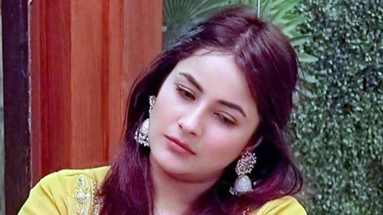 शहनाज गिल