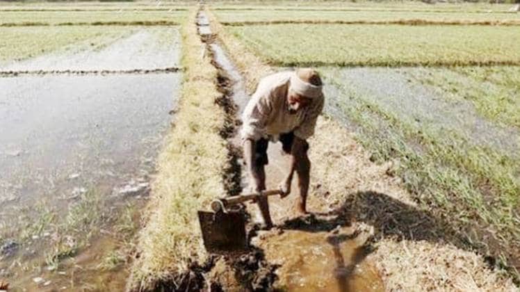 PMFBY को किसानों के लिए स्वैच्छिक बनाने की मंजूरी 