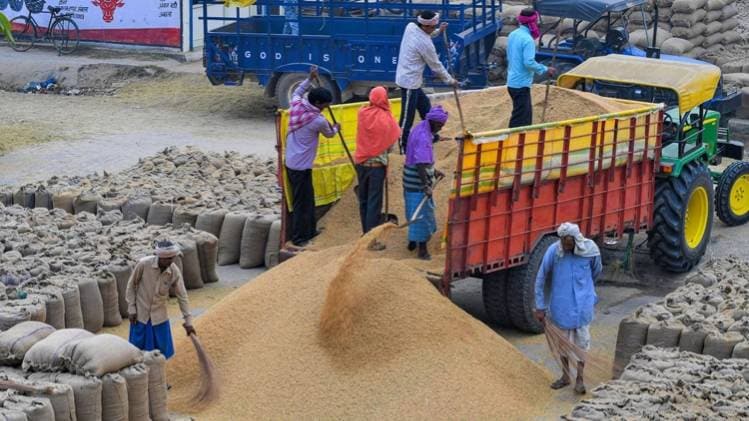 खाद्य सुरक्षा कानून लागू करने में लापरवाही पर जुर्माना (फोटो- पीटीआई)