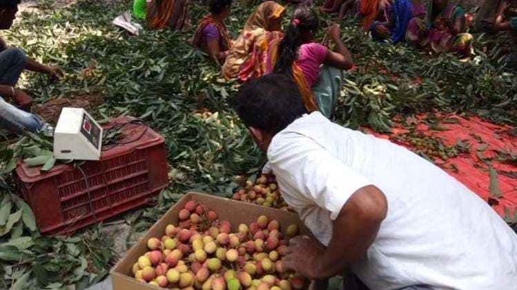 कोका कोला करेगी भारी निवेश (फोटो: @DeHaatTM)