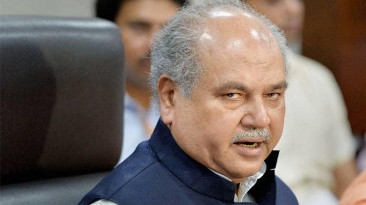 केंद्रीय कृषि मंत्री नरेंद्र सिंह तोमर (फाइल फोटोः PTI )