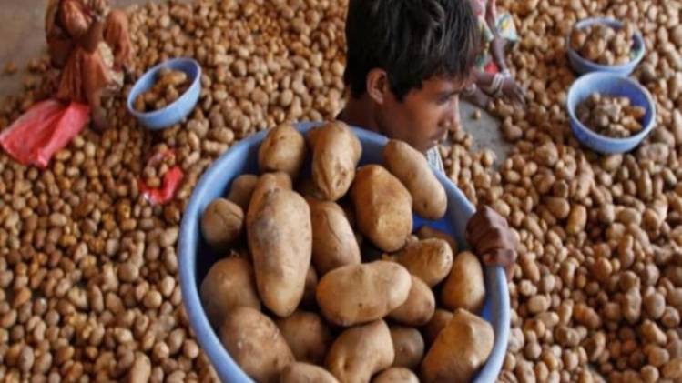 प्रतीकात्मक फोटो.