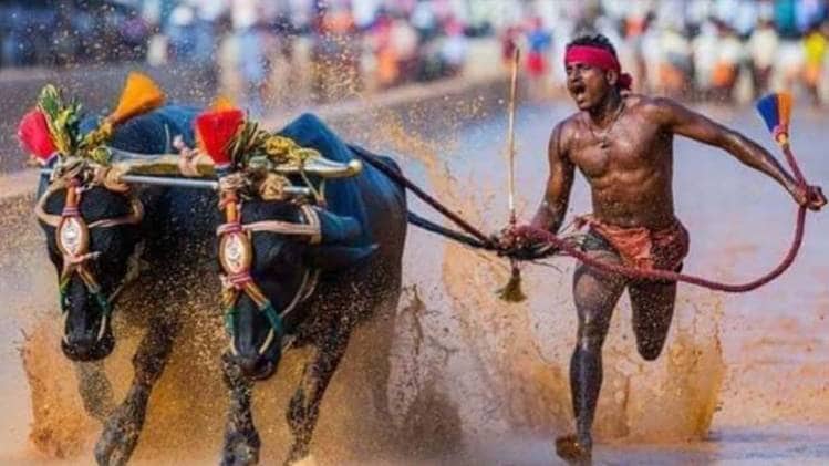 कर्नाटक के धावक श्रीनिवास गौड़ा (फोटो-Twitter)