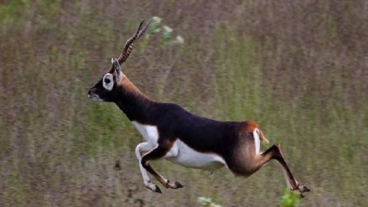 फाइल फोटो (इंडिया टुडे)