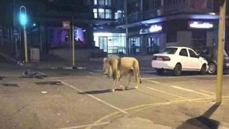 सोशल मीडिया पर वायरल तस्वीर