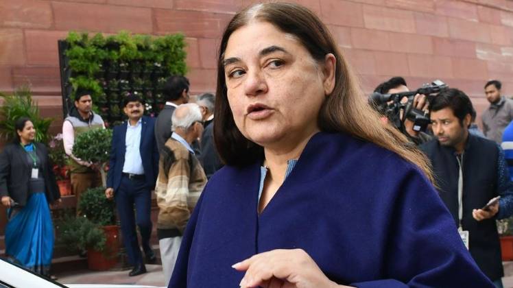 मेनका गांधी (फाइल फोटो- PTI)