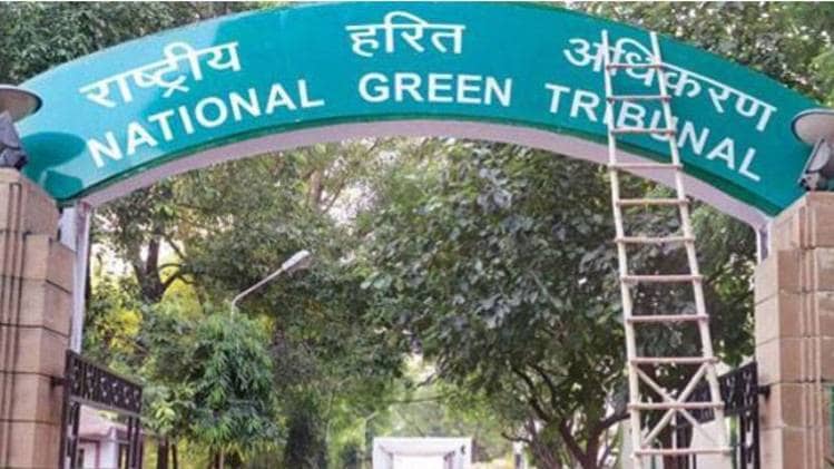 एनजीटी की फाइल फोटो 