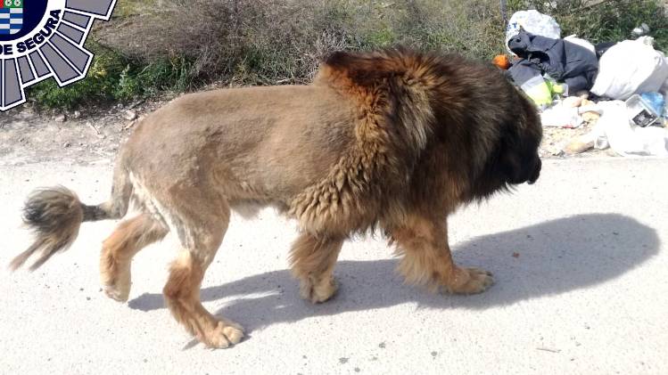 सोशल मीडिया पर वायरल हुई यह फोटो