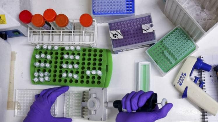 प्रतीकात्मक फोटो