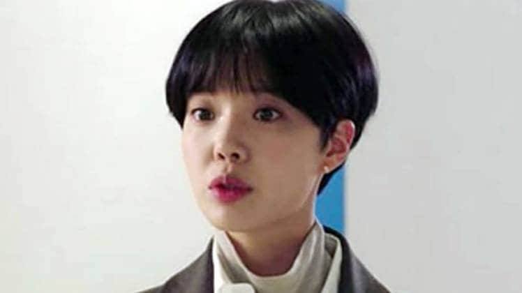 कोरियन सीरीज My Secret Terrius